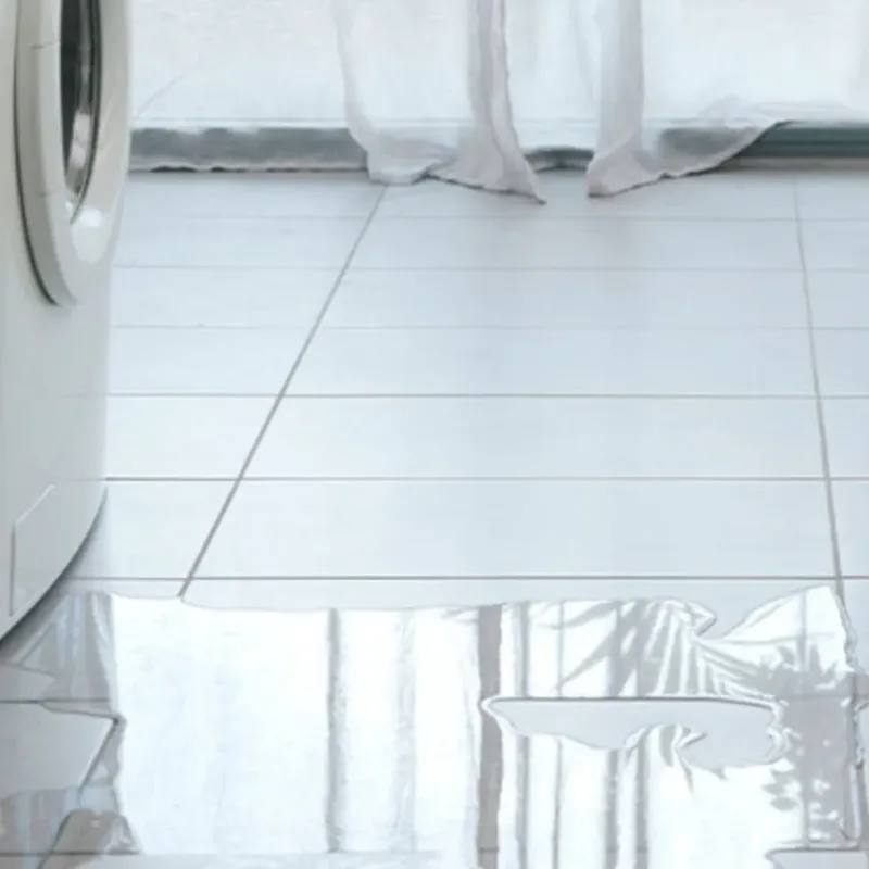 Appliance Leak Cleanup in Sitka City and Borough, AK