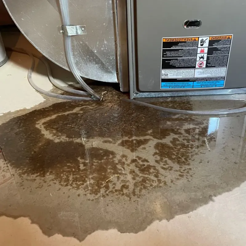 Pipe Burst and Leak Restoration in Sitka City and Borough, AK