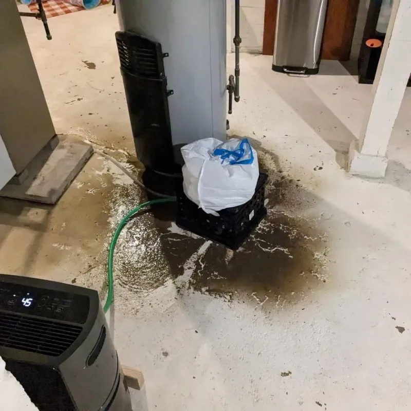 Sewage Backup Cleanup Service in Sitka City and Borough, AK